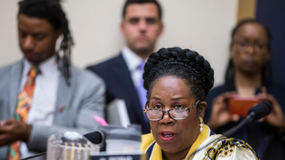 In Historic Move, House Panel Advances Reparations Legislation to Study Impact of Slavery and Racism
